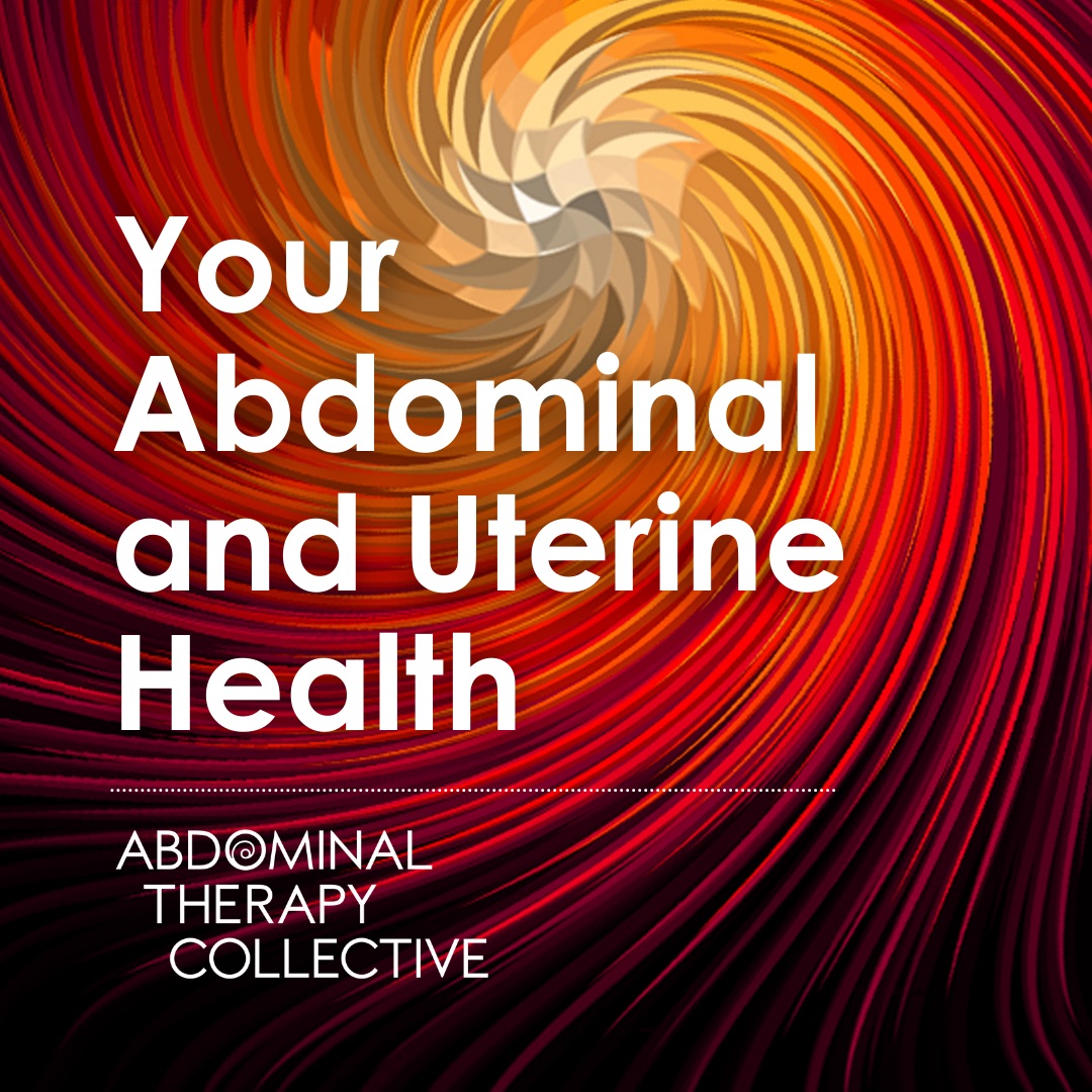 Your Abdominal and Uterine Health – Deine Gebärmutter- und Bauchgesundheit