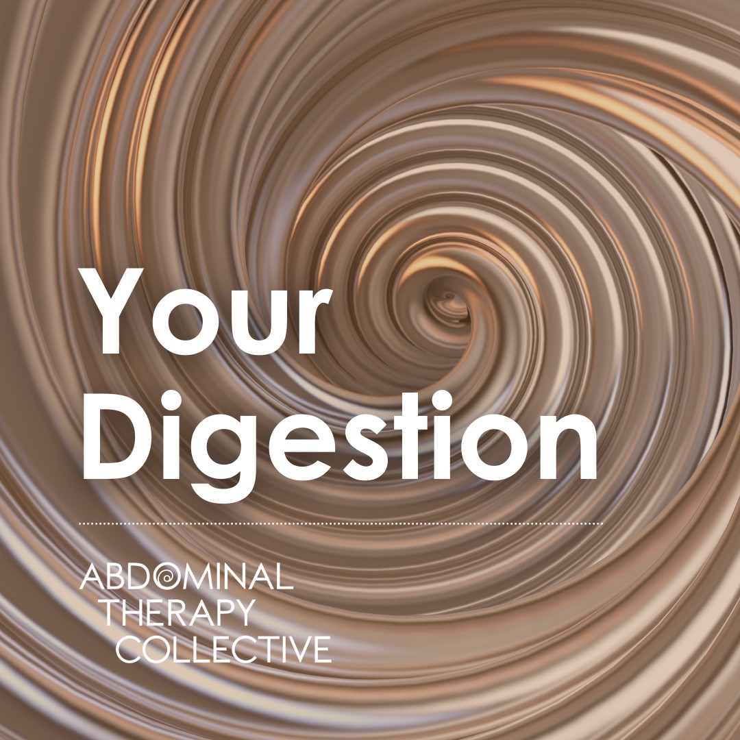 Your Digestion – Dein Weg zu einer gesunden Verdauung