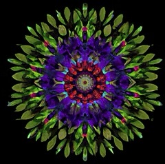 Abdominal Therapy for Professionals Part 1 & Part 2 (ATP1 & ATP2)